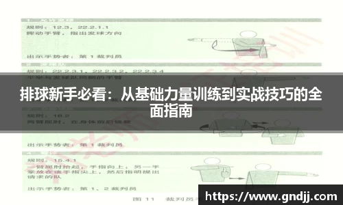 排球新手必看：从基础力量训练到实战技巧的全面指南